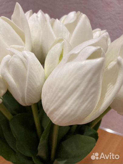 Тюльпаны латекс