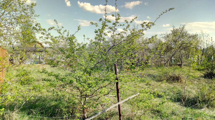 Участок 6 сот. (СНТ, ДНП)