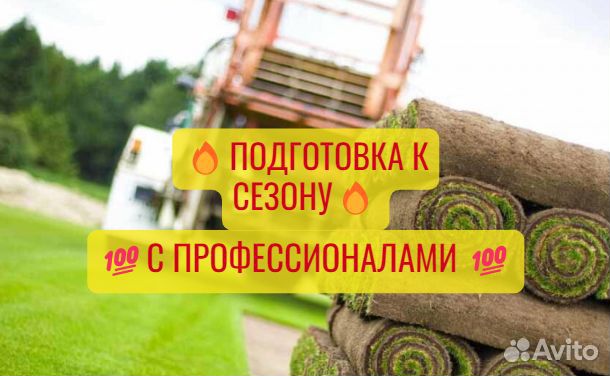 Газон рулонный Стандартный под ключ