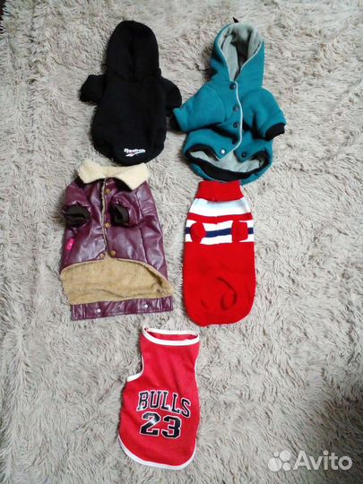 Одежда пакетом для собачки xl