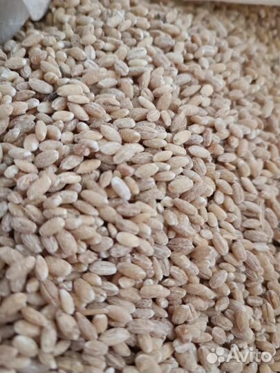 Крупа перловая