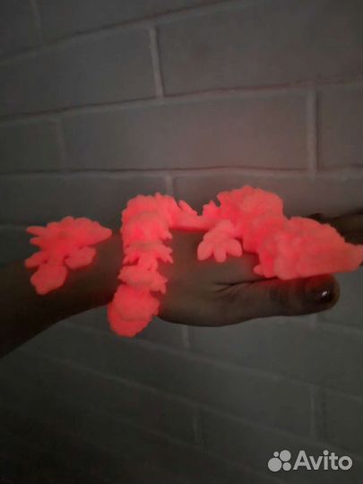 Дракон орхидея светящийся