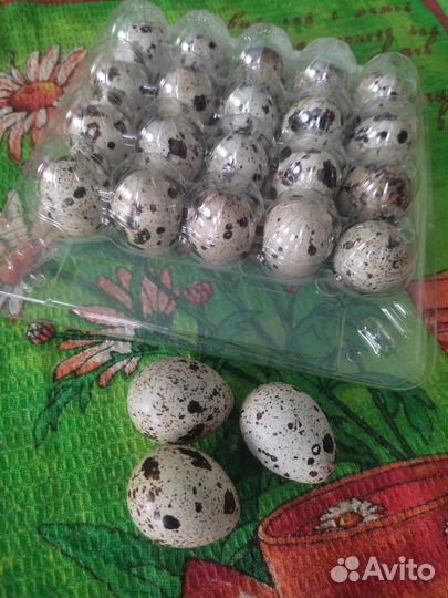 Яйца перепелиные