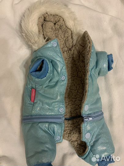 Обувь/одежда для собаки. Корм в подарок