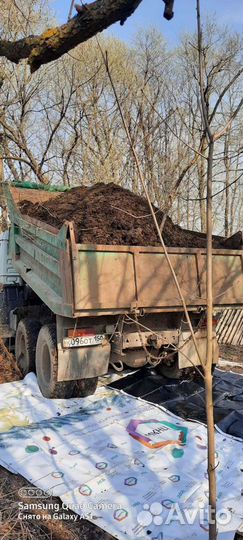 Навоз для роз