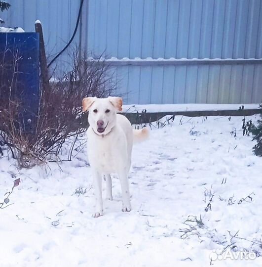 Великолепная Юма мечтает обрести семью