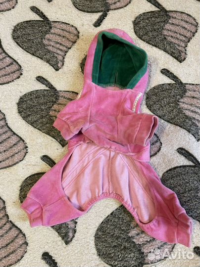 Одежда для собак