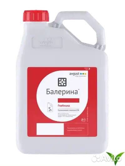 Балерина сэ 5 л