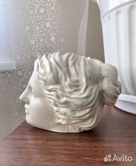 Голова Венеры