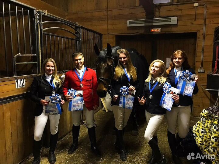 Детская школа, обучение верховой езде