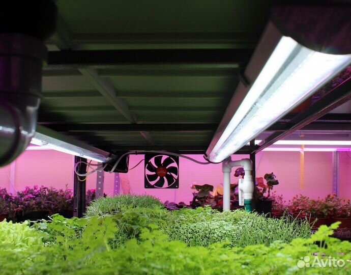 Гидропонная установка для микрозелени