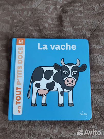 Детская книга на французском языке