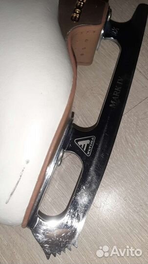 Edea 195 размер