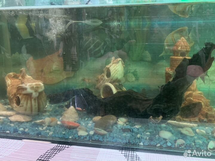 Аквариум с тумбочкой