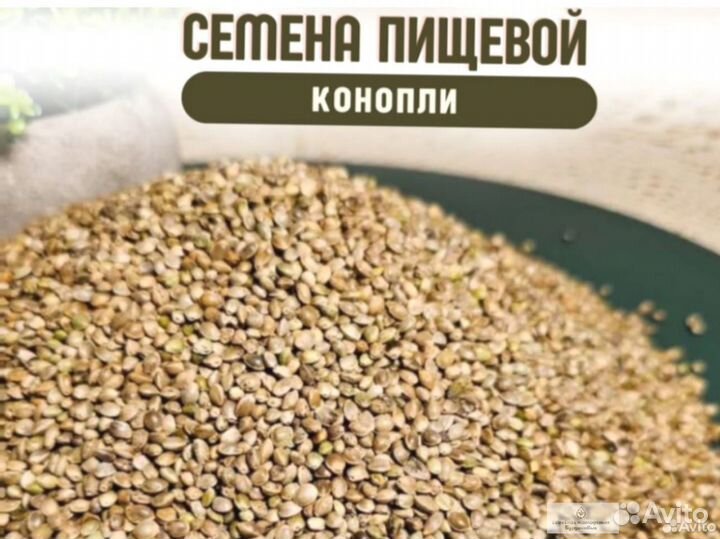 Пищевая конопля семена новые