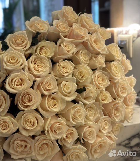 Букет 51 роза кремовые красивые пышные цветы