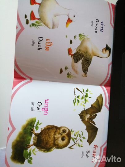 Детская развивающая книга на английском языке