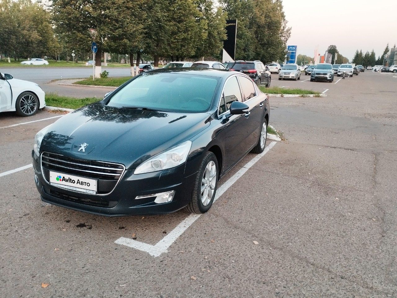 Peugeot 508: фото из отзыва