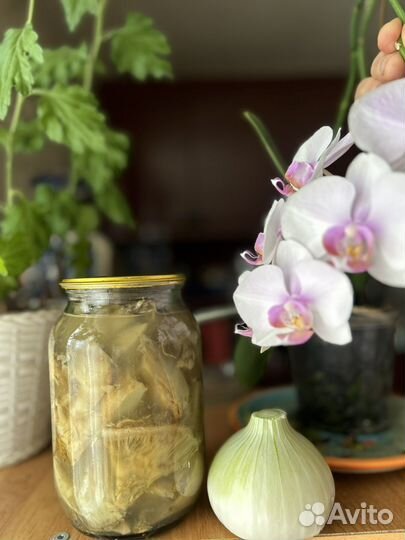 Грибы соленые