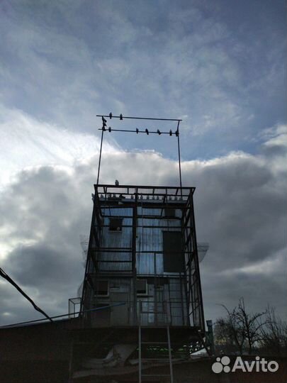 Голуби на выпускной, свадьбу и высоколетные