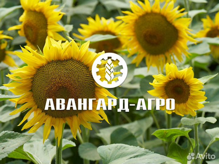 Разнорабочий