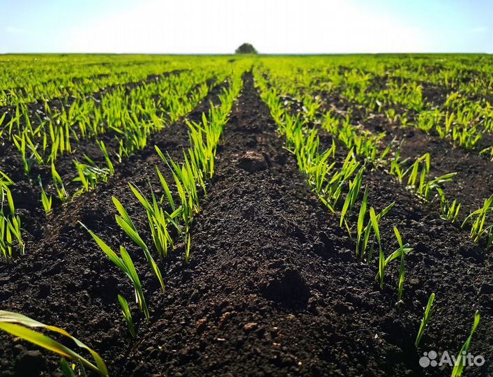 Купить чернозём навоз в мешках