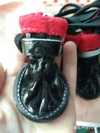 Обувь для собаки