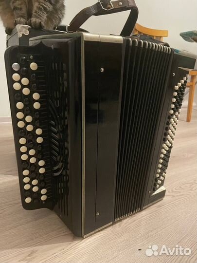 Баян тульский