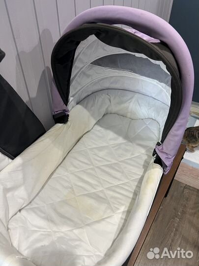 Коляска 2 в 1 babyton rocky purple