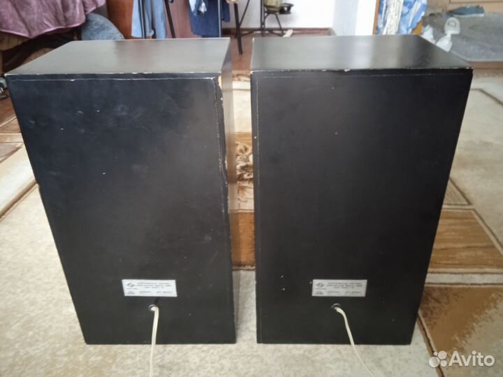 Акустические колонки Электроника 25 ас-328