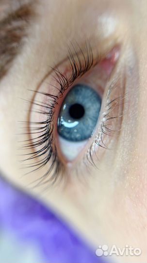 Оформление бровей и ламинирование ресниц