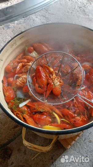 Варёные раки