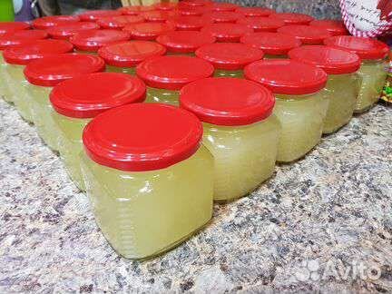 Жир сурковый свежий 2022