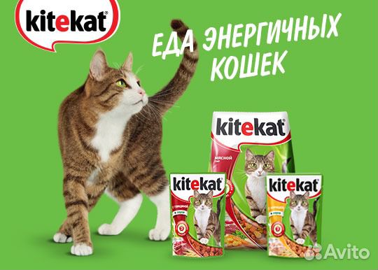 Корм для животных