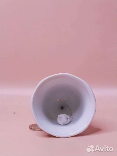 Колокольчики Шотландия,Дания