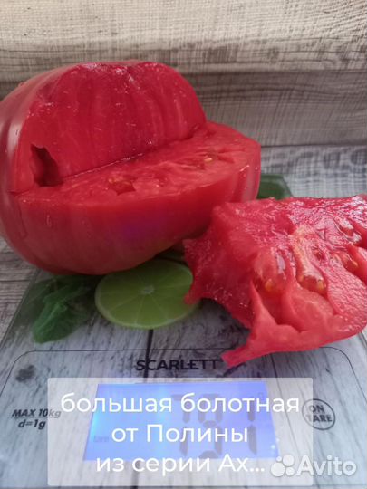 Помидоры, семена