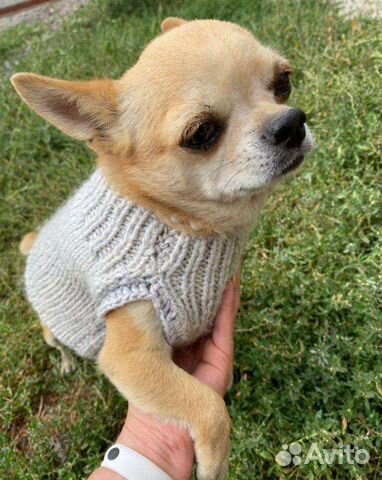 Одежда для собачек маленьких пород