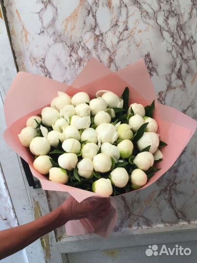 Пионы белые опт коробка доставка цветов