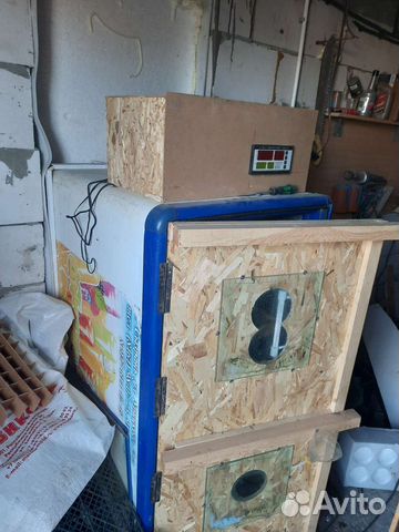 Автоматический инкубатор