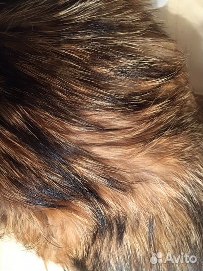 Мех на воротник