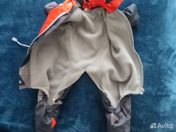 Вещи для собачки