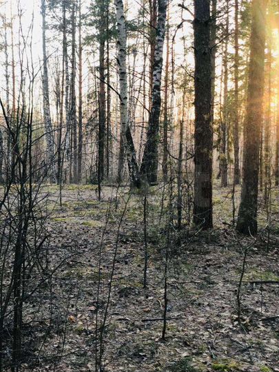 Дача 36 м² на участке 4,7 сот.