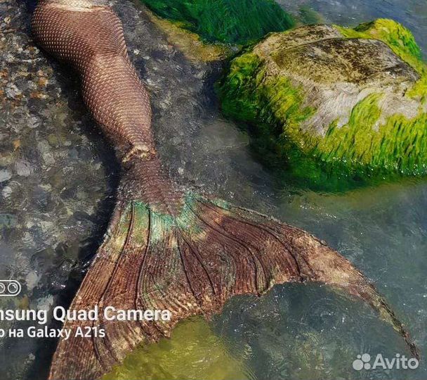 Хвост русалки