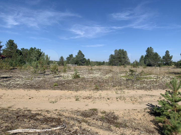 Участок 15 сот. (ИЖС)