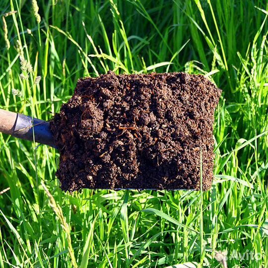 Навоз,перегной коровий. 1 мешок - 50руб