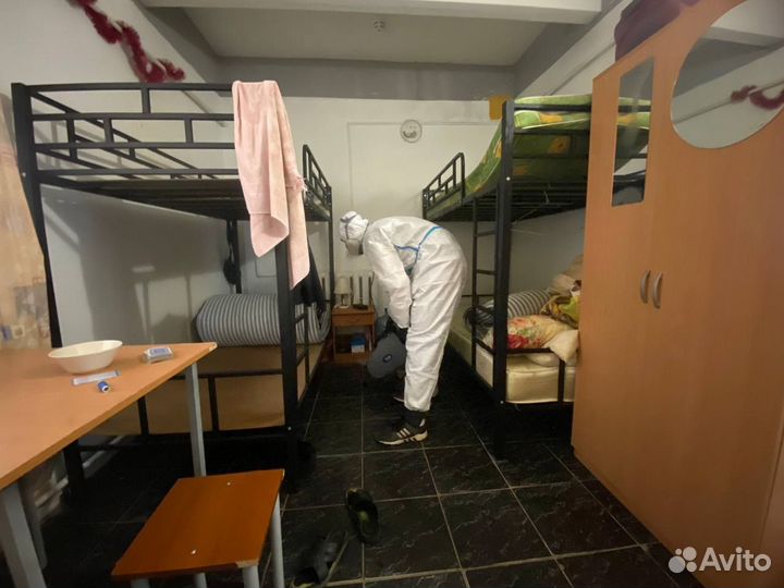 Дезинсекция уничтожение тараканов/клопов/клещей