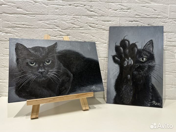 Картина маслом на холсте 20/30 кот кошка