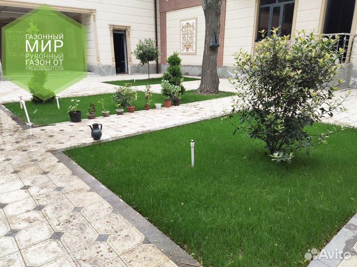 Рулонный газон