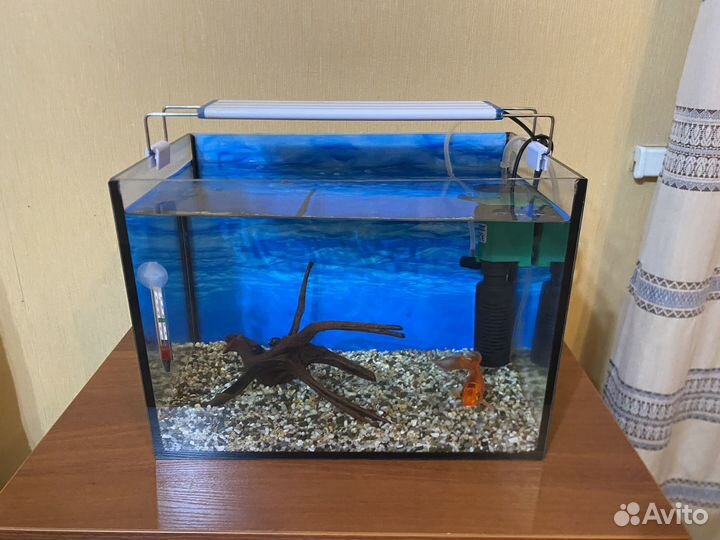 Аквариум