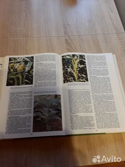 Энциклопедия садовода